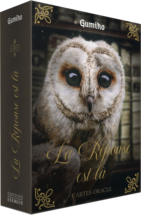 Illustration de la boîte de la Réponse est là